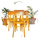 Mid Century Modern Dining Room Zebra Wood Chairs, set of six, Italy 1950s