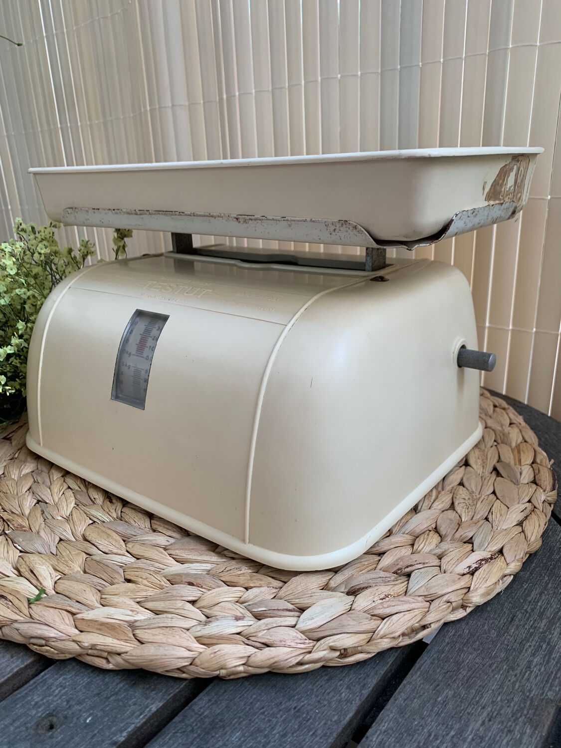 Testut household balance