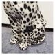 Snow Leopard Ceramic