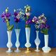 Set of 5 soliflores or antique vases in white opaline and brass.