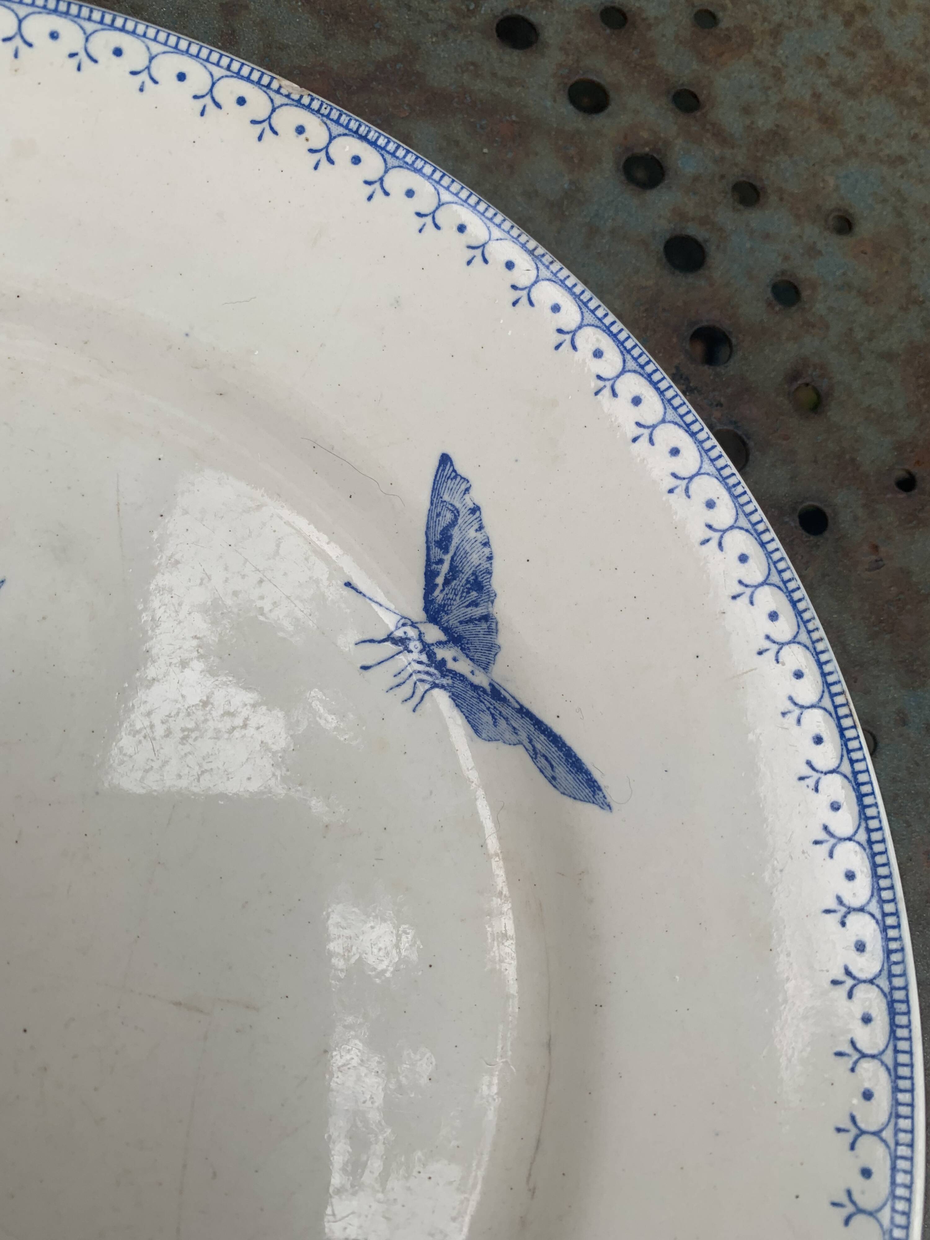 Collectible flat plate, ironstone, malaca, bird, butterfly and flower motif, made in France