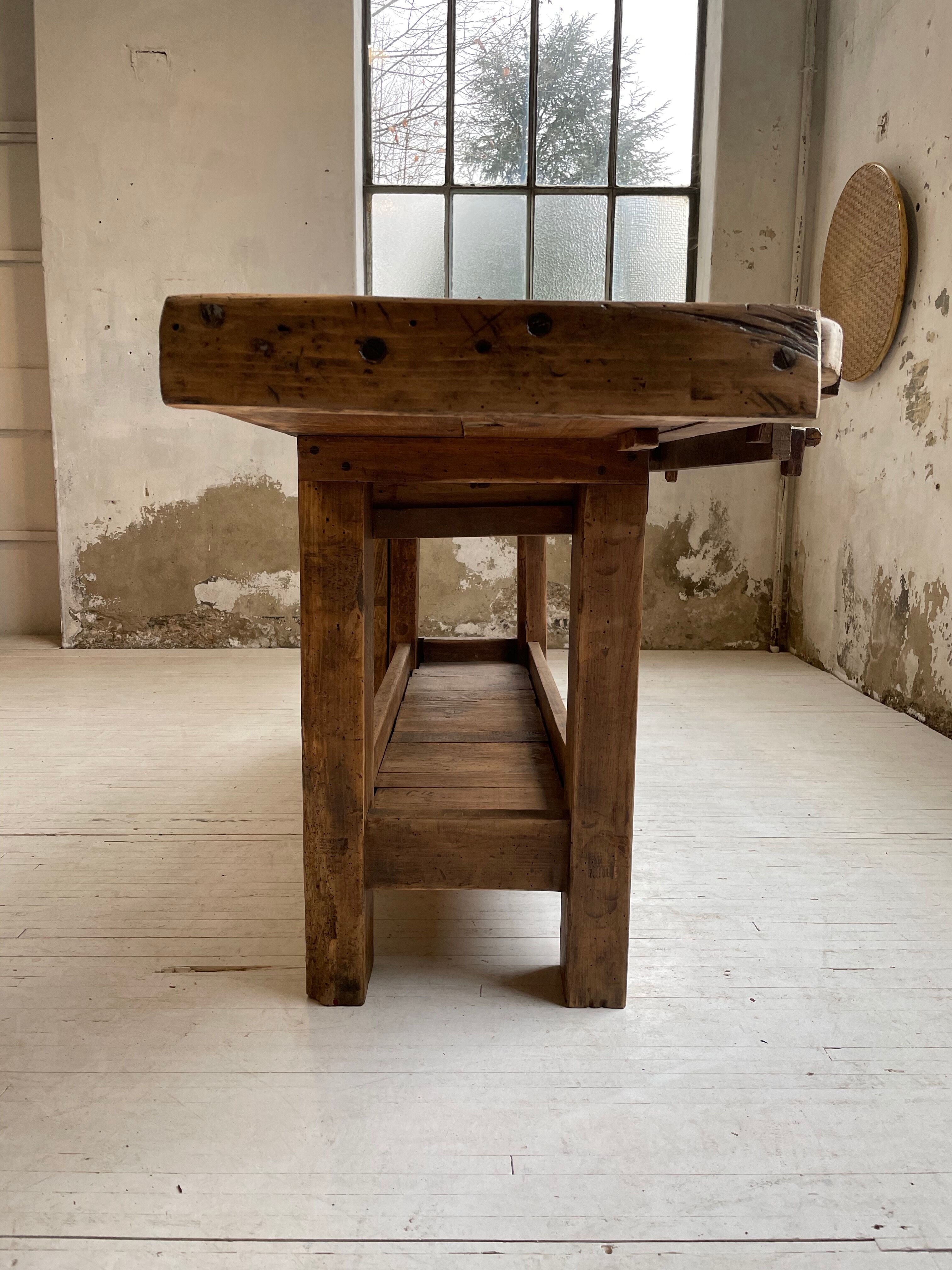 Established old oak XL