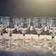 Baccarat 10 small antique glasses for white wine/port