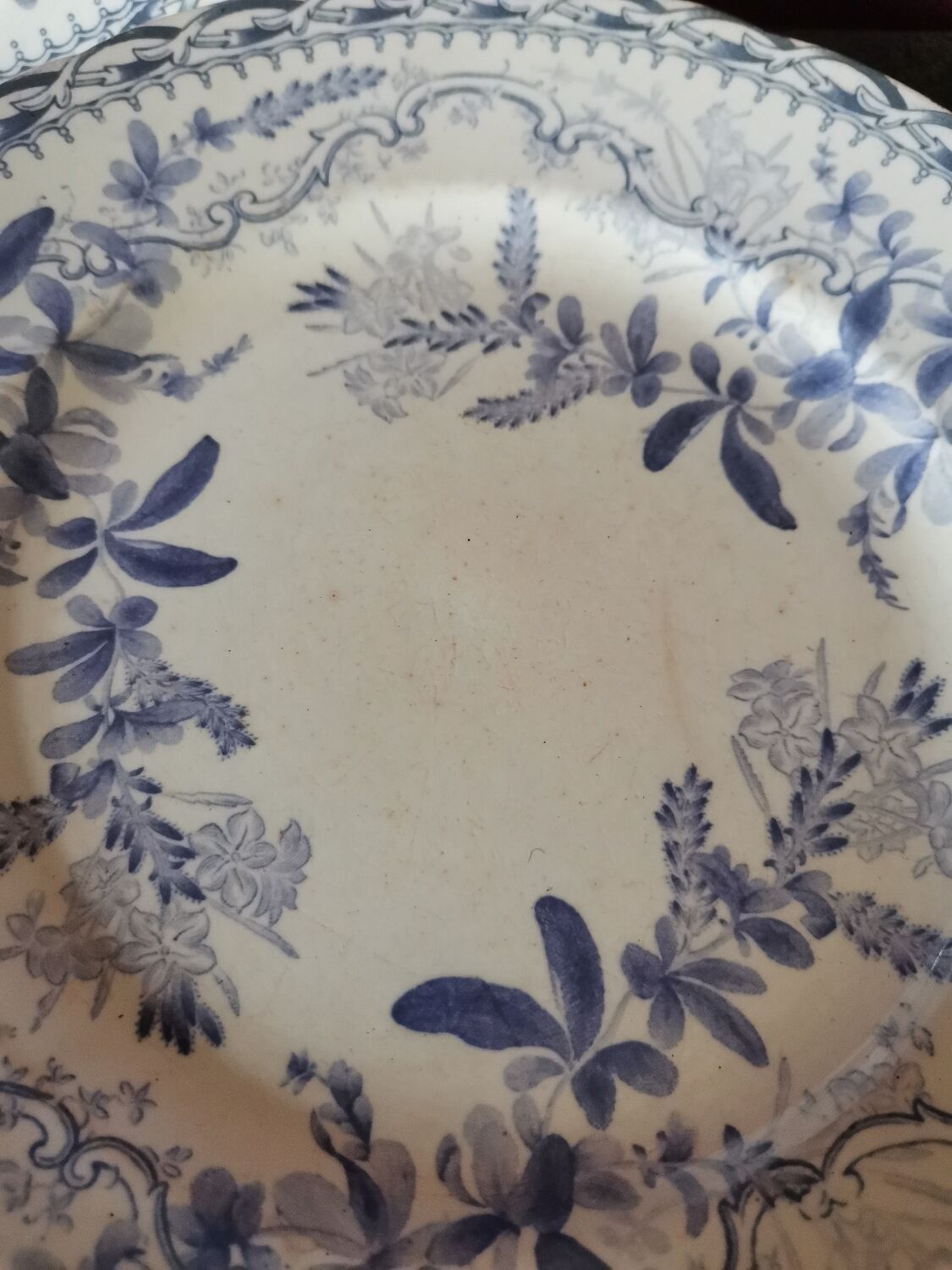 Purple Flora plate