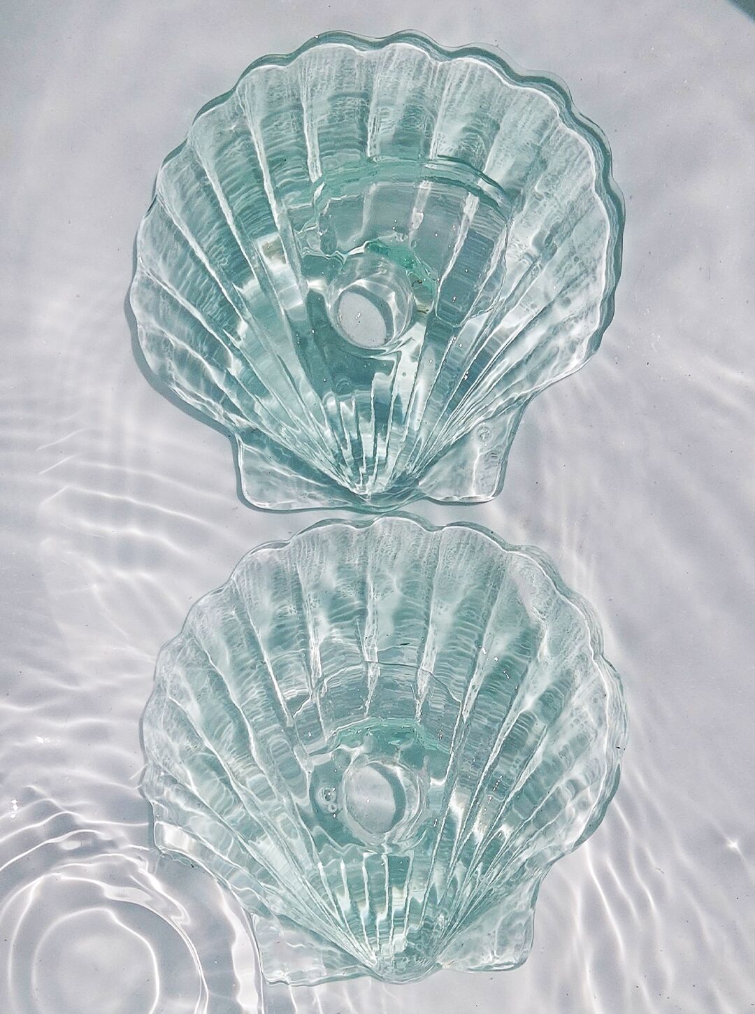 Pair of shell candlesticks