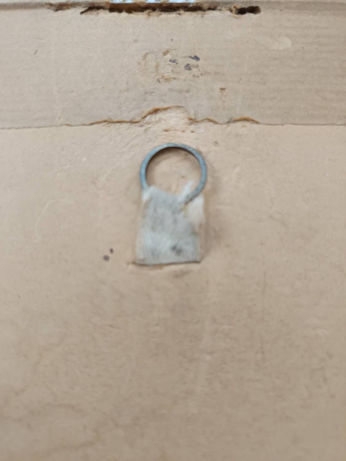 Botanical illustration