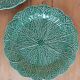Duo of plates in slip