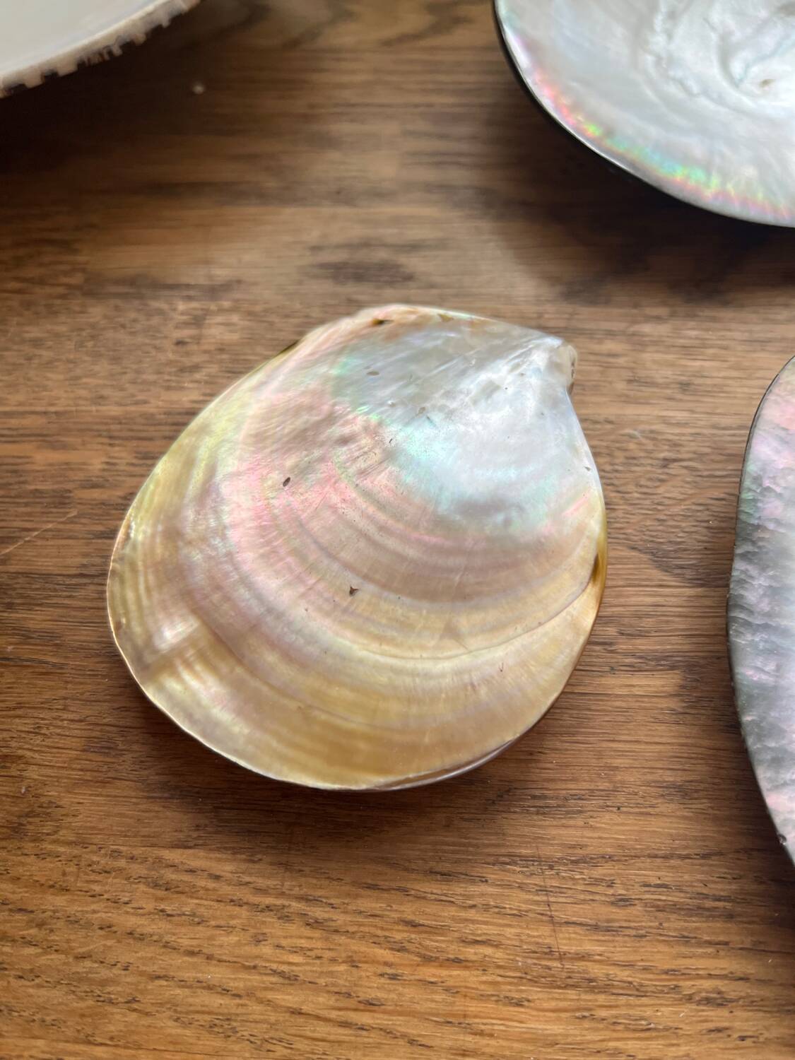 Set of mother-of-pearl shells