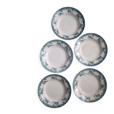 5 assiettes creuses terre de fer Saint Amand