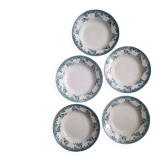 5 deep plates from Saint Amand ironstone