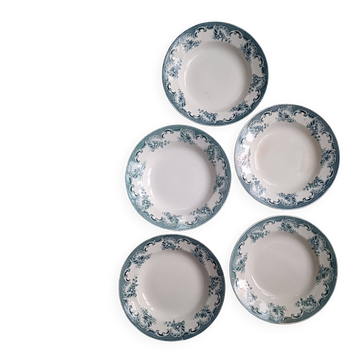 5 deep plates from Saint Amand ironstone