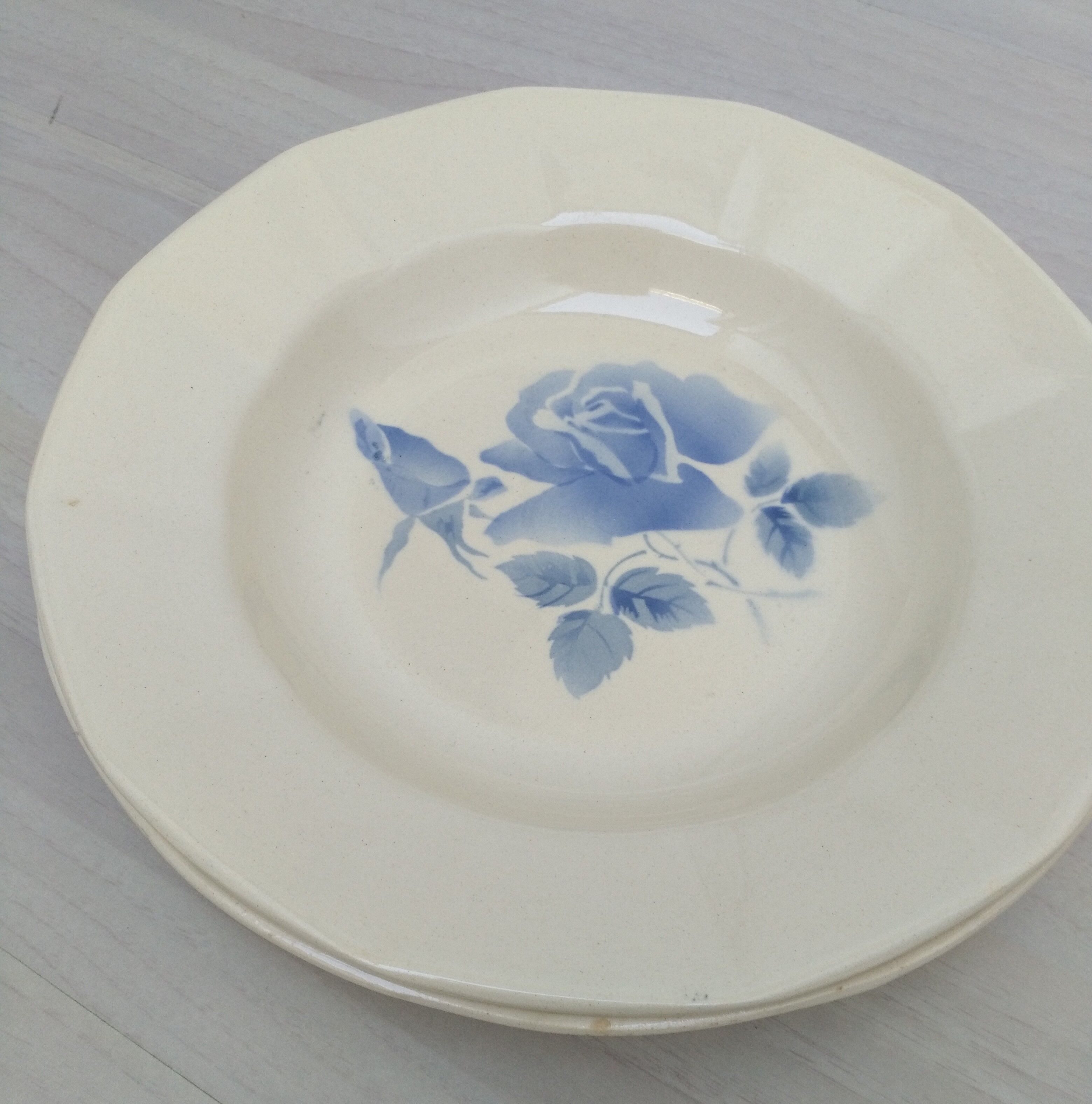 Lot of 2 hollow plates Digoin Sarreguemines model "blue rose"