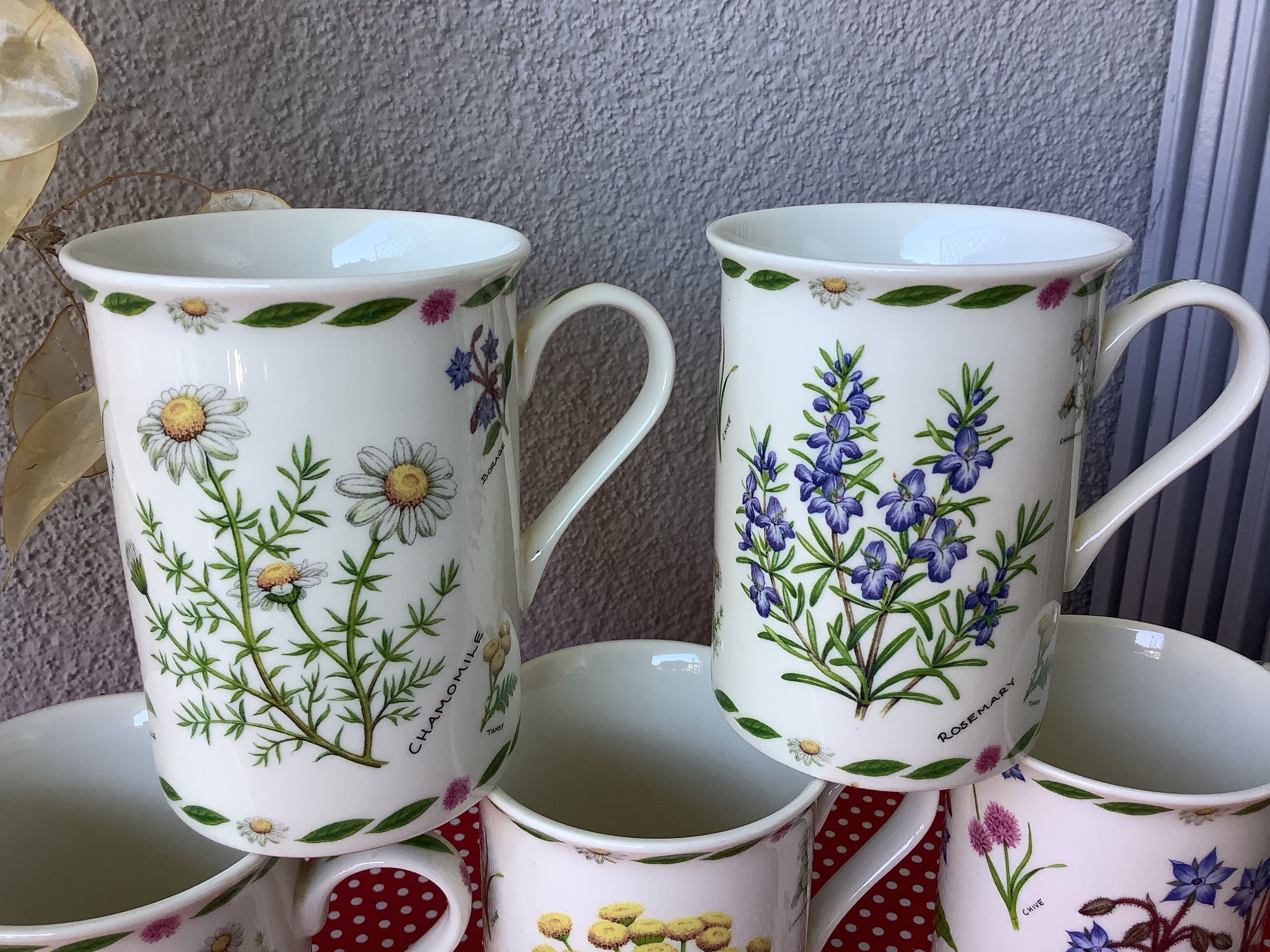 English mugs botanical décor New Bone China