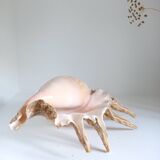 Vintage shell