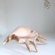 Coquillage vintage