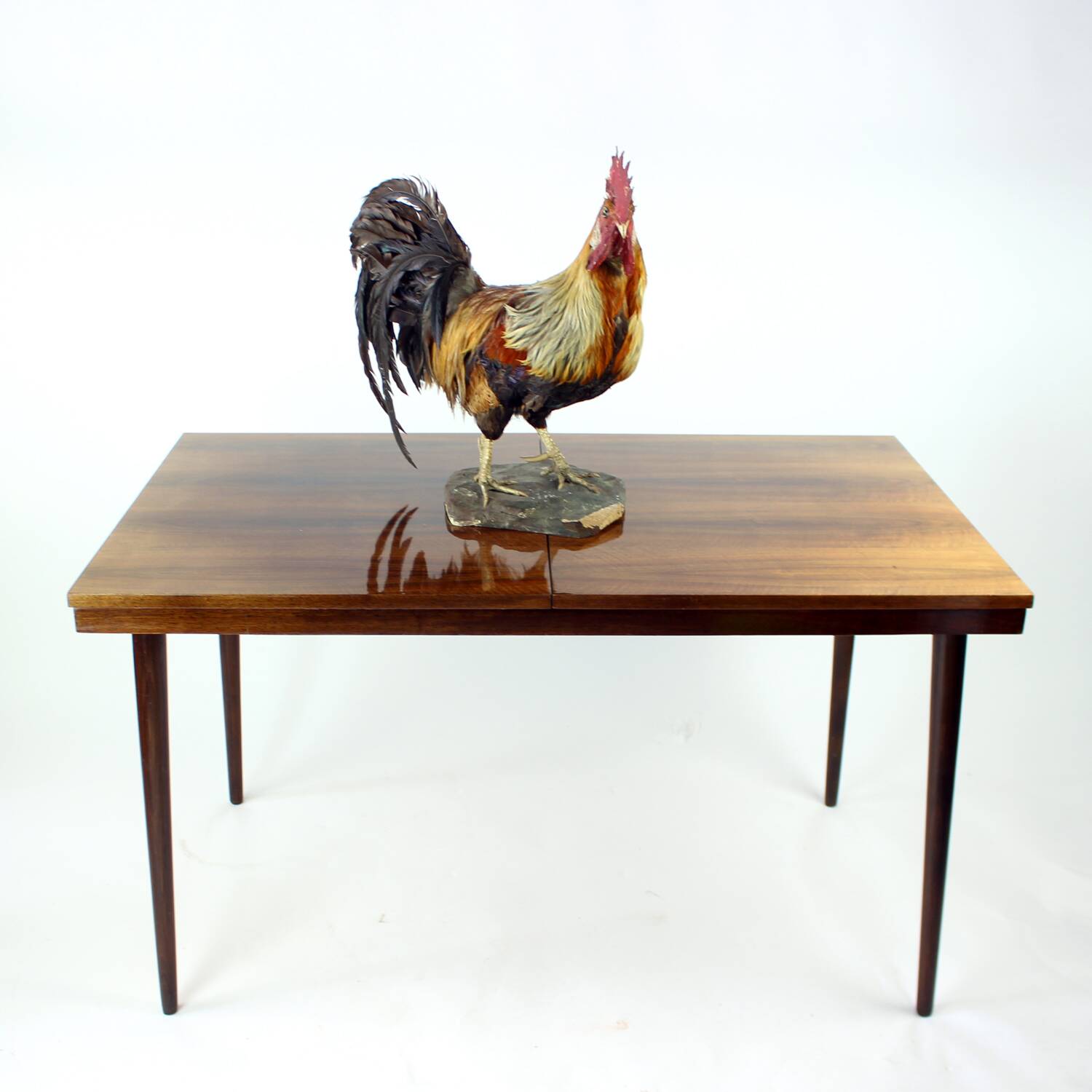 Table à manger extensible en noyer, style milieu du siècle, par Mier, Tchécoslovaquie, années 1960