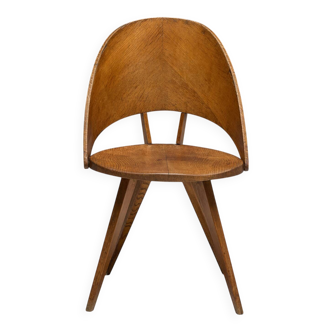 Mid-century plywood dining chairs, Italy, 1950s