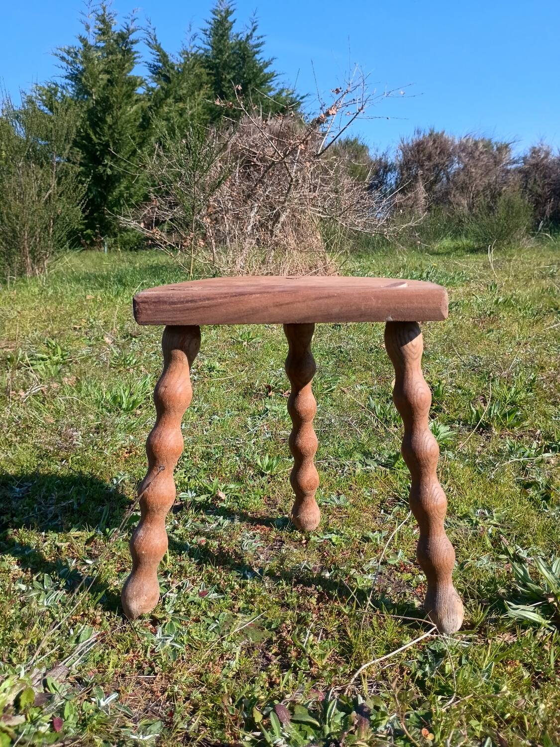 Milking stool