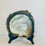 Large mother-of-pearl shell