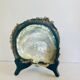 Coquillage grande nacre
