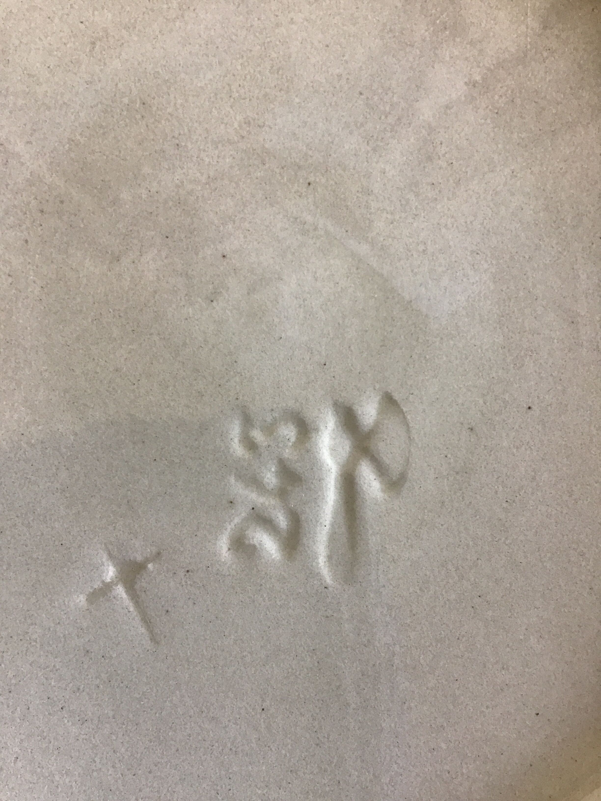 6 ceramic plates decorated with fish