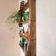 Solid wood wall shelf / storage shelf