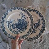 Duo of ironstone plates
