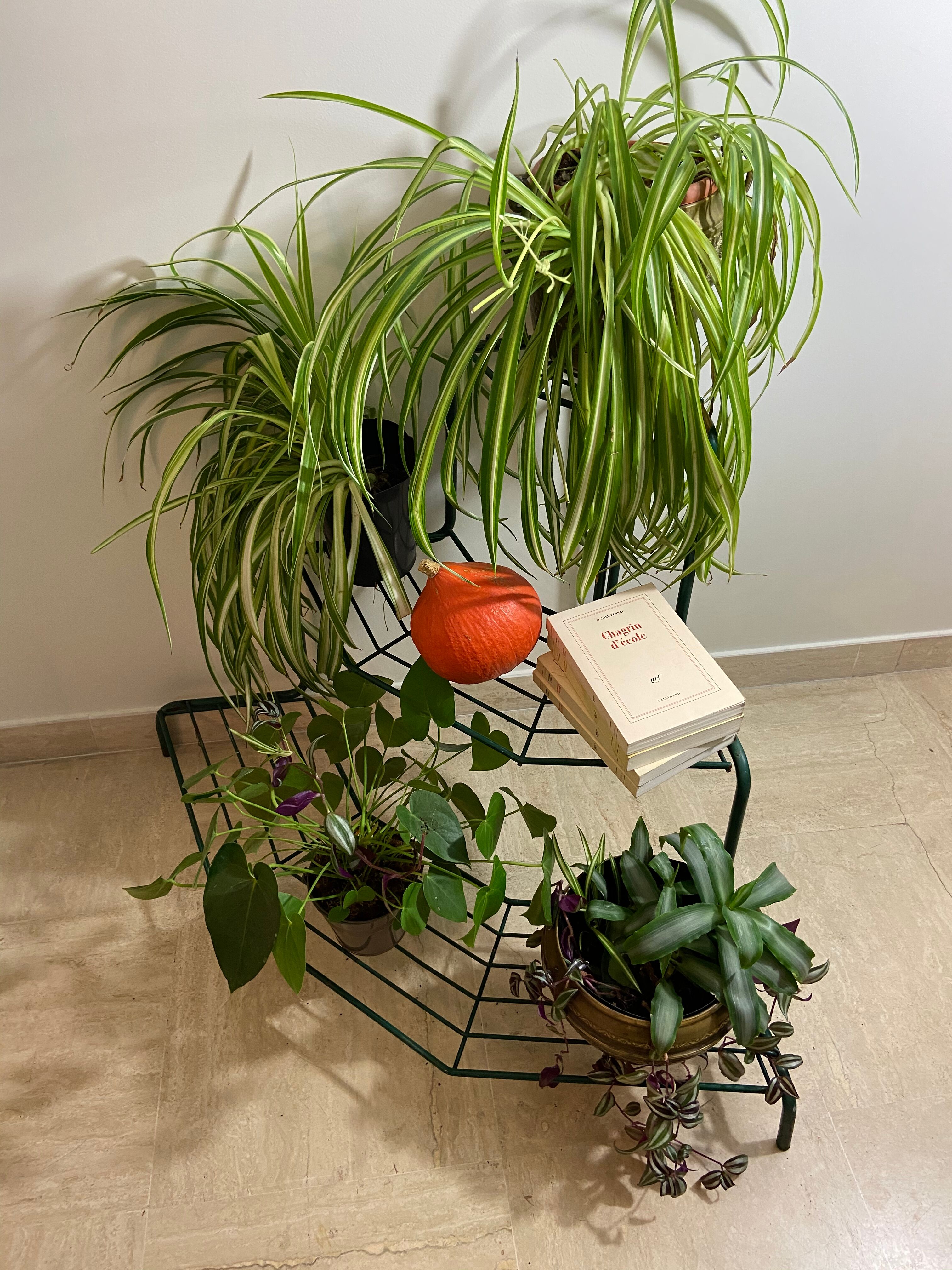 Florist shelf carries metal plants