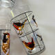 Verres à décor d’oiseaux