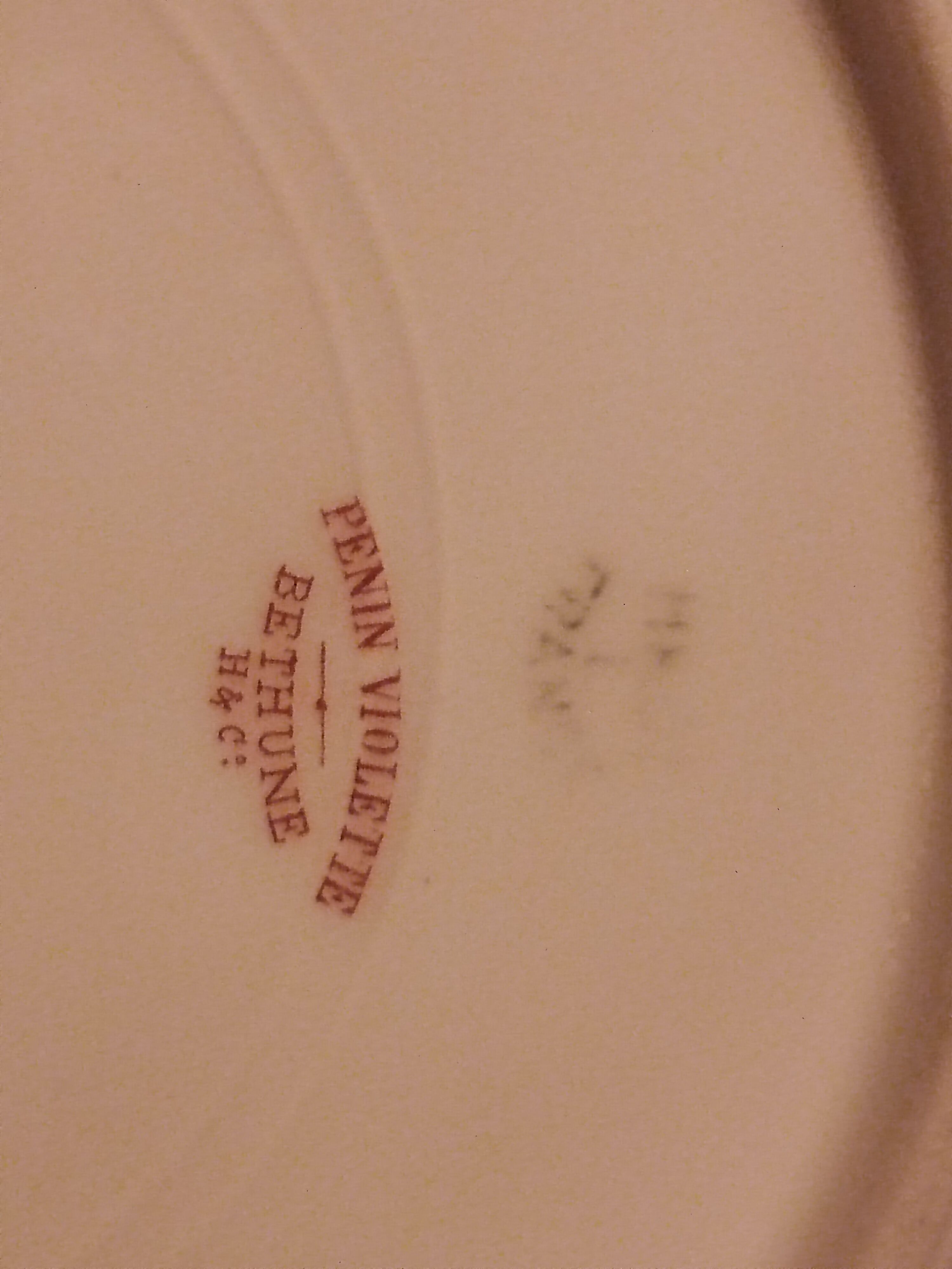 Penin violette porcelain plate in béthune (62)