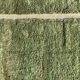 Sapin – Tapis berbère marocain en laine