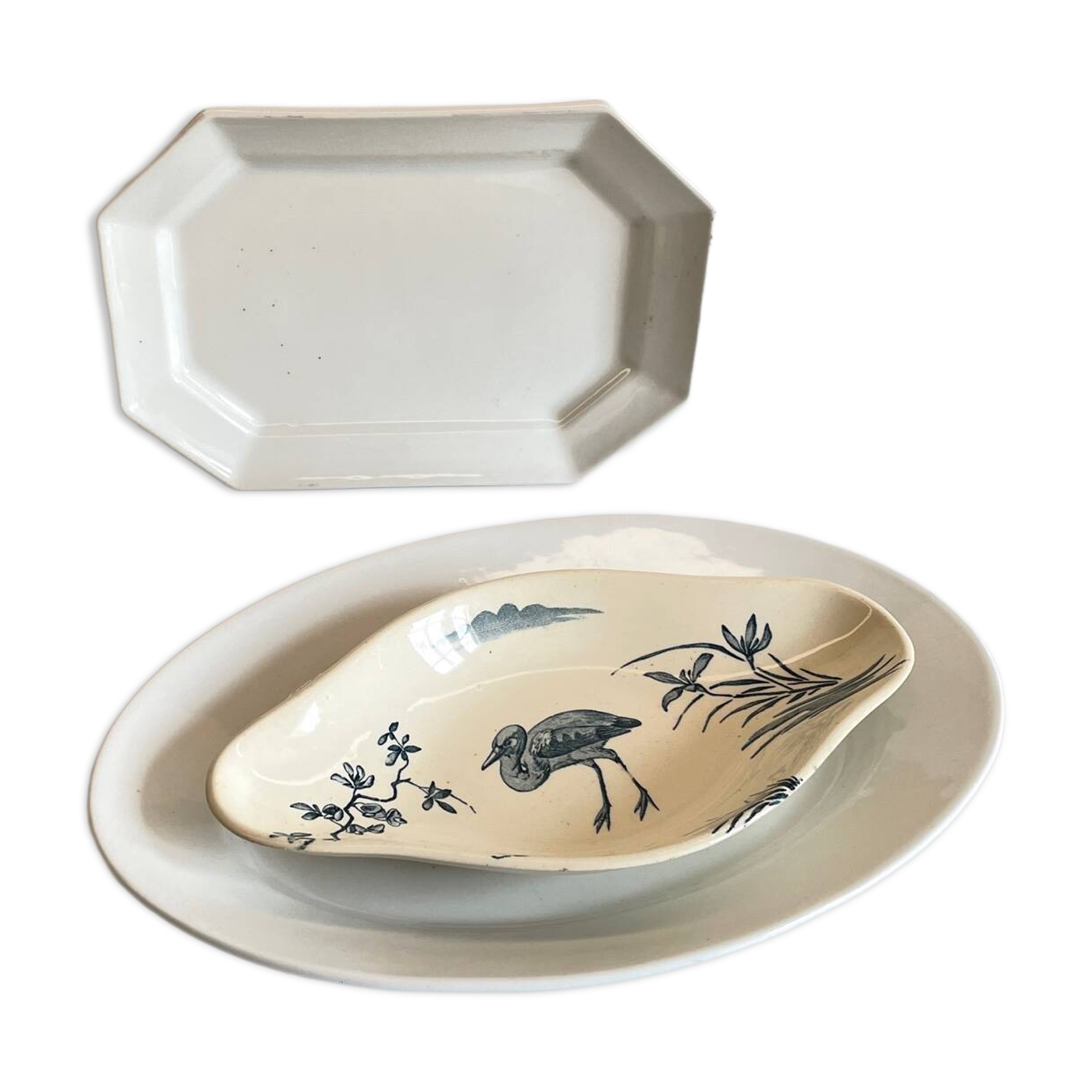 3 Presentation Dishes Terre de Feu KG LUNEVILLE – France