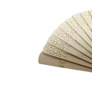 Art Nouveau Austro-Hungarian celluloid fan, 1900s