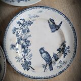 Set 4 blue mismatched plates