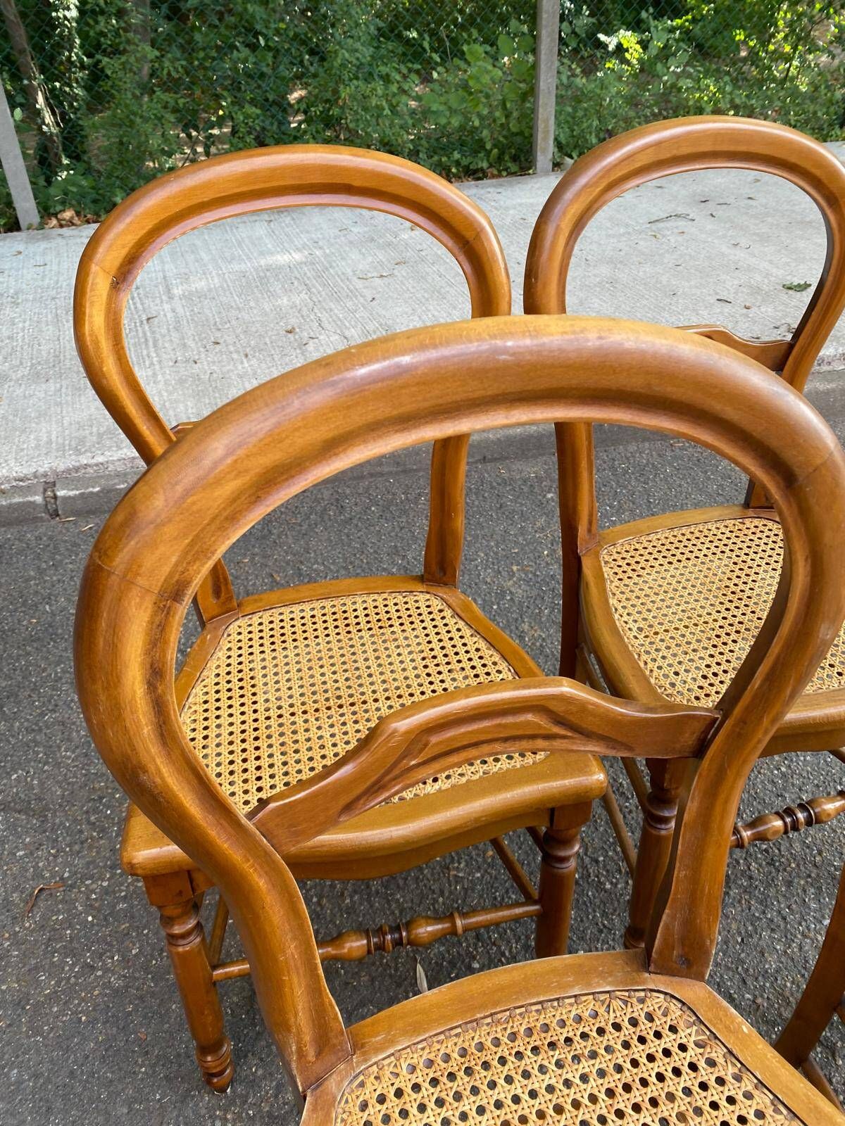 Set of 4 Louis-Philippe medallion chairs in wood with caned seats, 1970s.