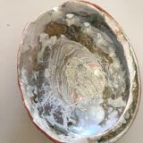 Shell trinket bowl in mother-of-pearl