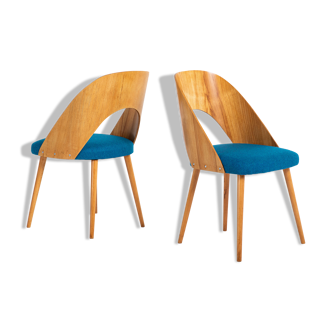 Pair of restored chairs by Antonin Suman, ONV Pisek, 1960s