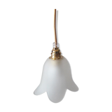 Tulip glass hanging lamp