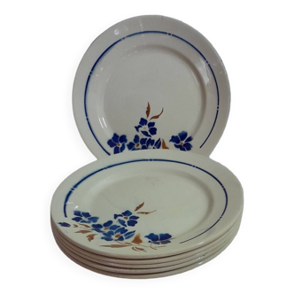 Assiettes plates