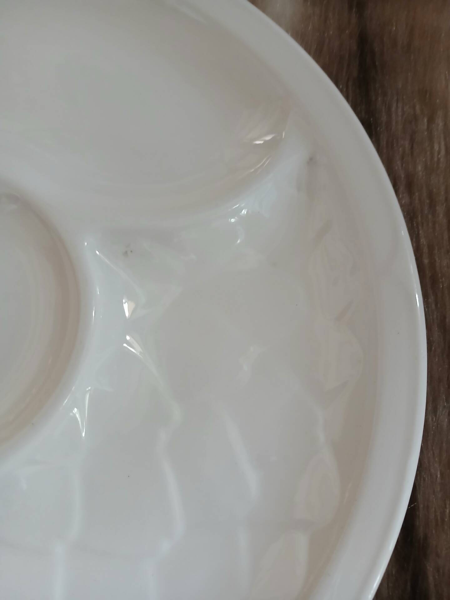 5 antique flat plates in majolica