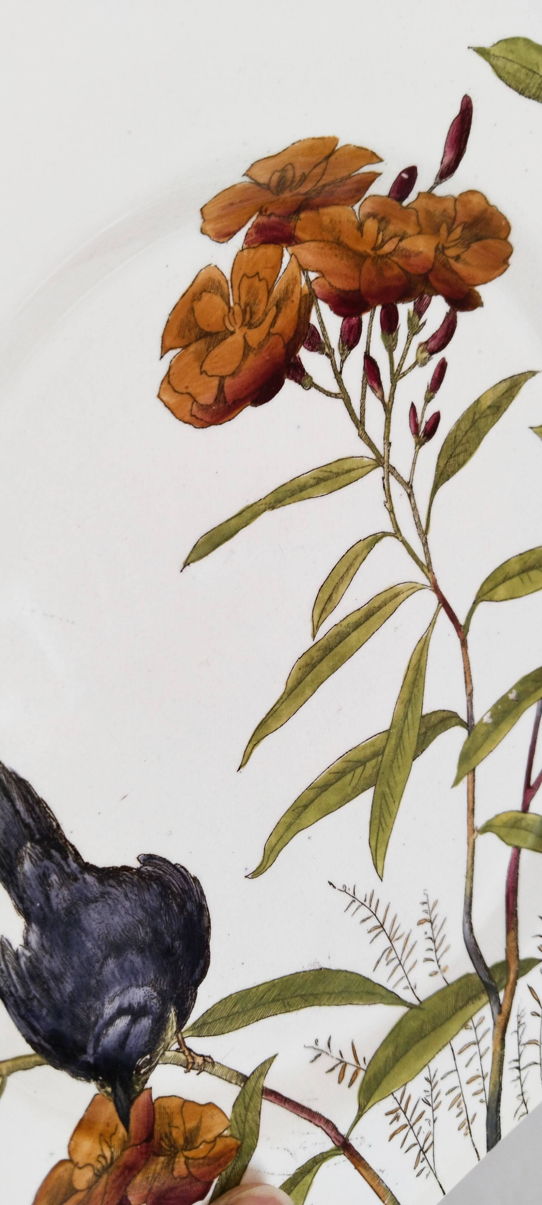 Antique 10" octagonal plate foliage bird Mintons ESSEX BIRDS 1880