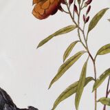 Antique 10" octagonal plate foliage bird Mintons ESSEX BIRDS 1880