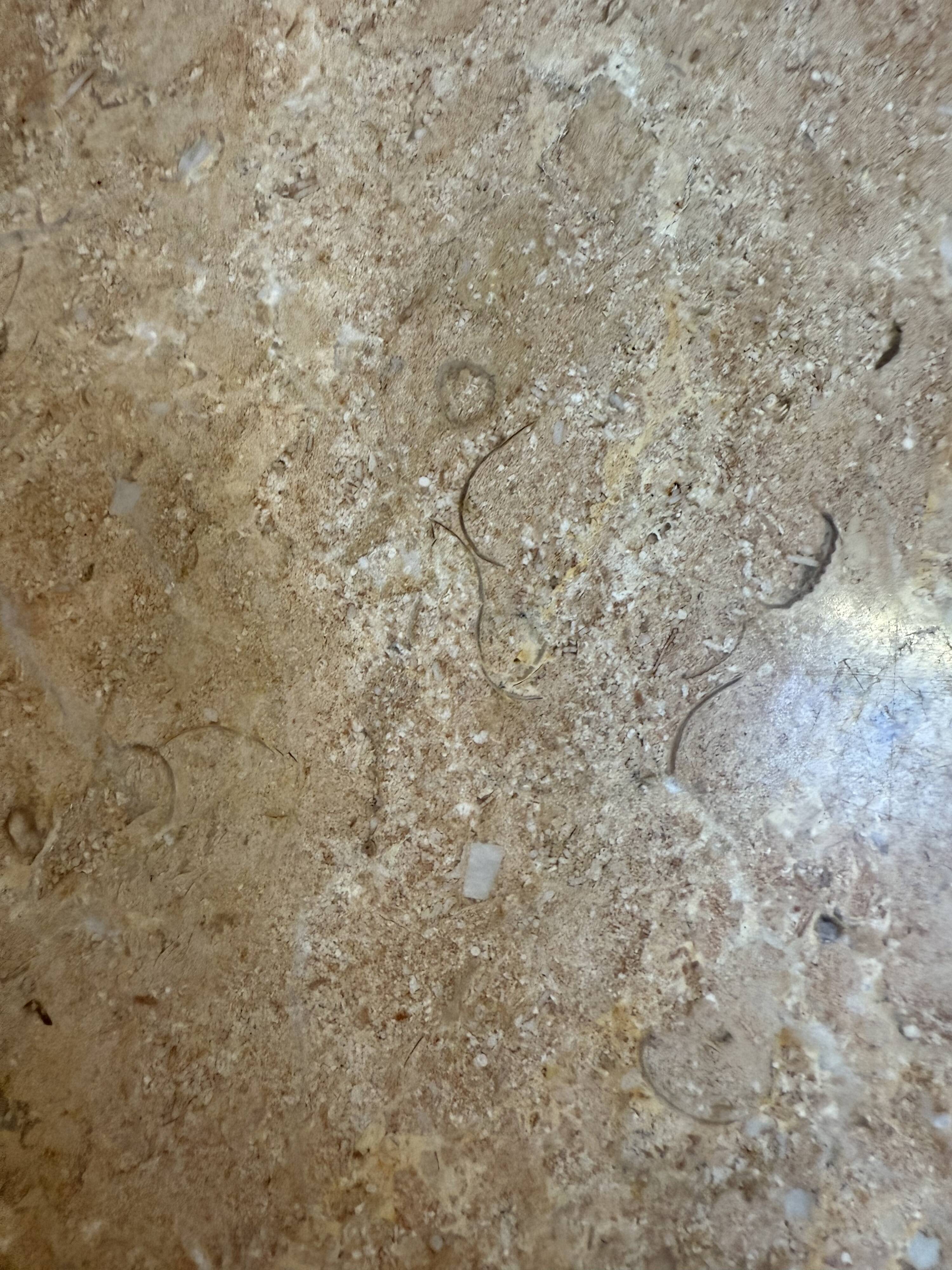 Maurice Burke Vintage Tulip Table