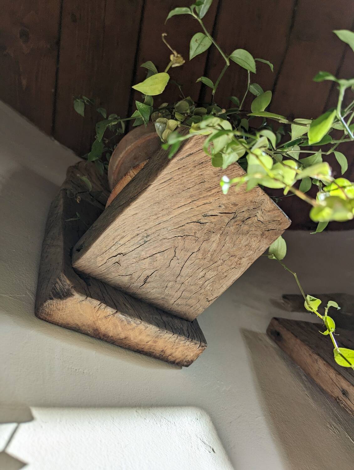 Old oak wall shelves