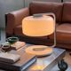Collectible Space Age Table / Desk Lamp in Steel and Plexiglass Voghera by Zonca