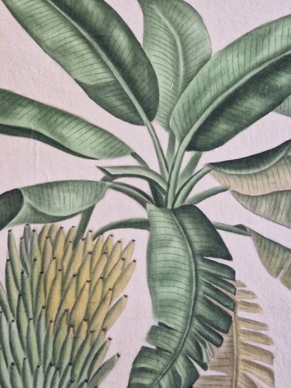 La Roche Laffitte (Born in 1943) - Watercolour drawing on silk - Banana tree