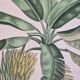 La Roche Laffitte (Born in 1943) - Watercolour drawing on silk - Banana tree