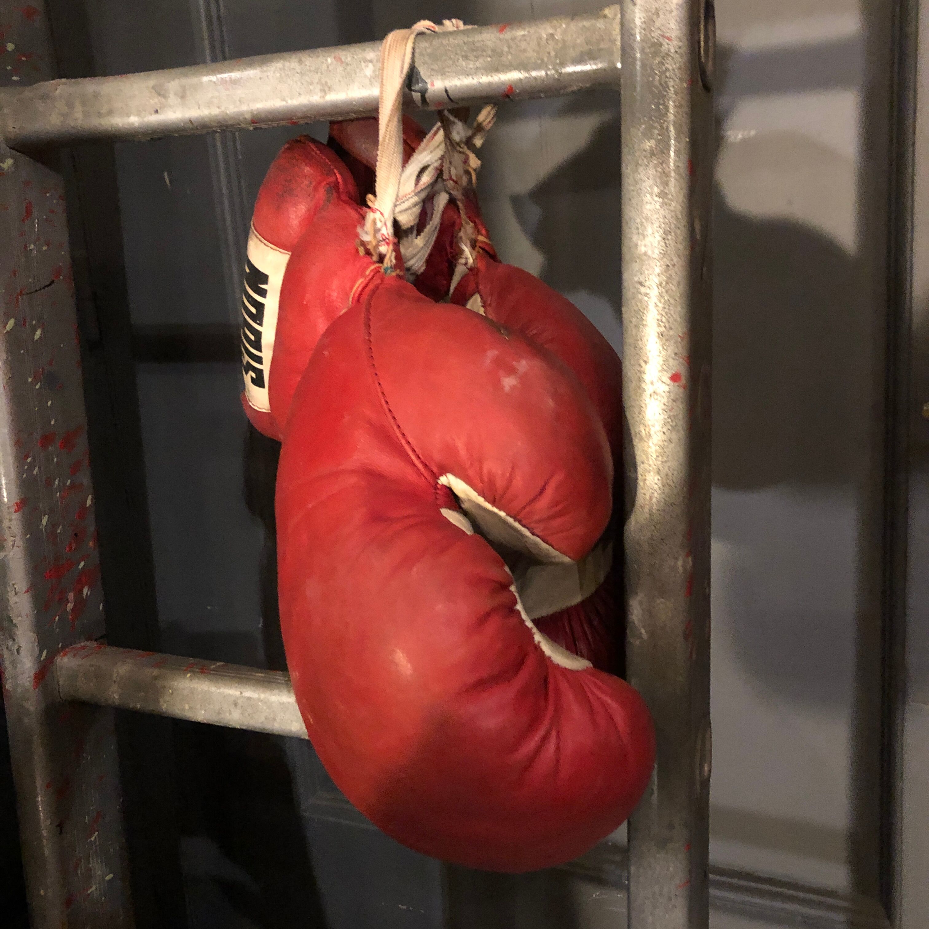 Boxing gloves