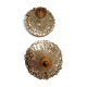 Two ceiling lamps with grapevines