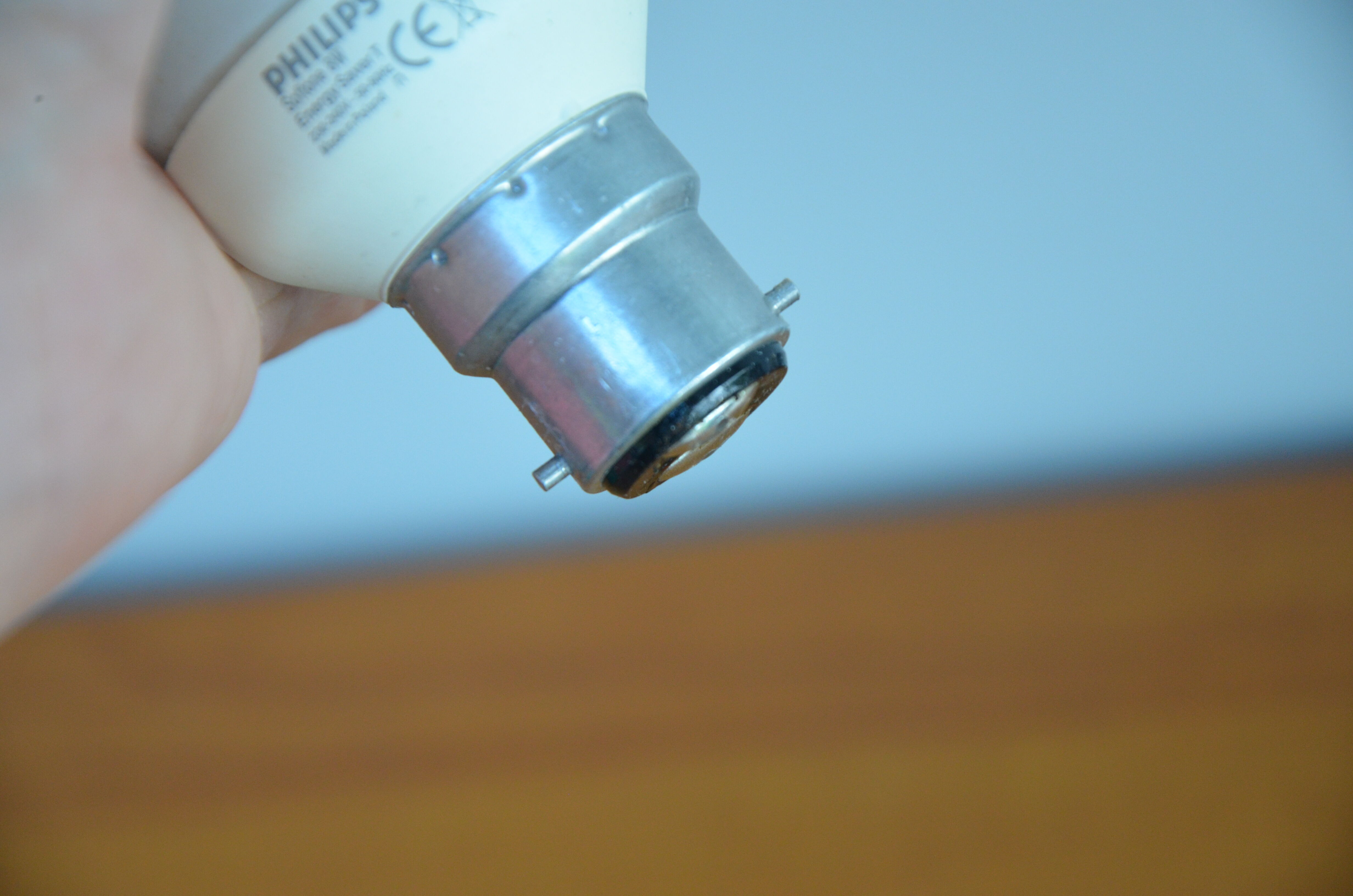 Barbtine lamp with little pink bird